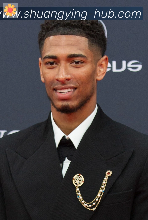 维尼修斯